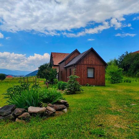 Organicle Lodge Sincraieni Eksteriør billede