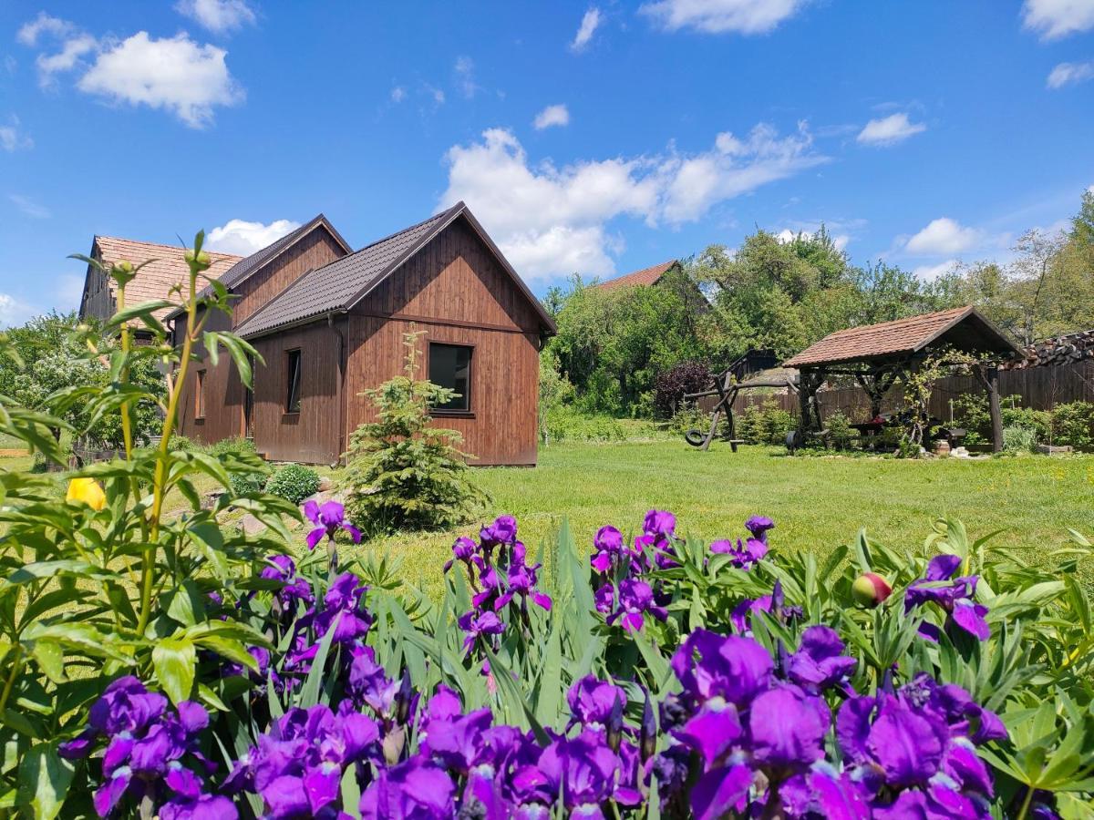 Organicle Lodge Sincraieni Eksteriør billede