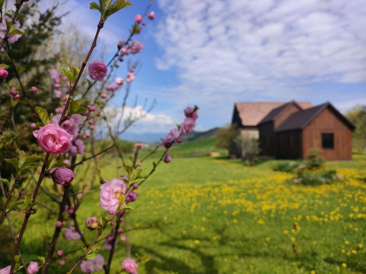 Organicle Lodge Sincraieni Eksteriør billede