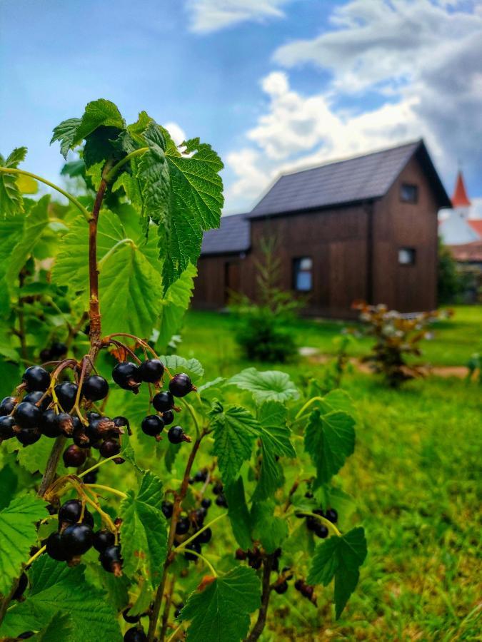 Organicle Lodge Sincraieni Eksteriør billede