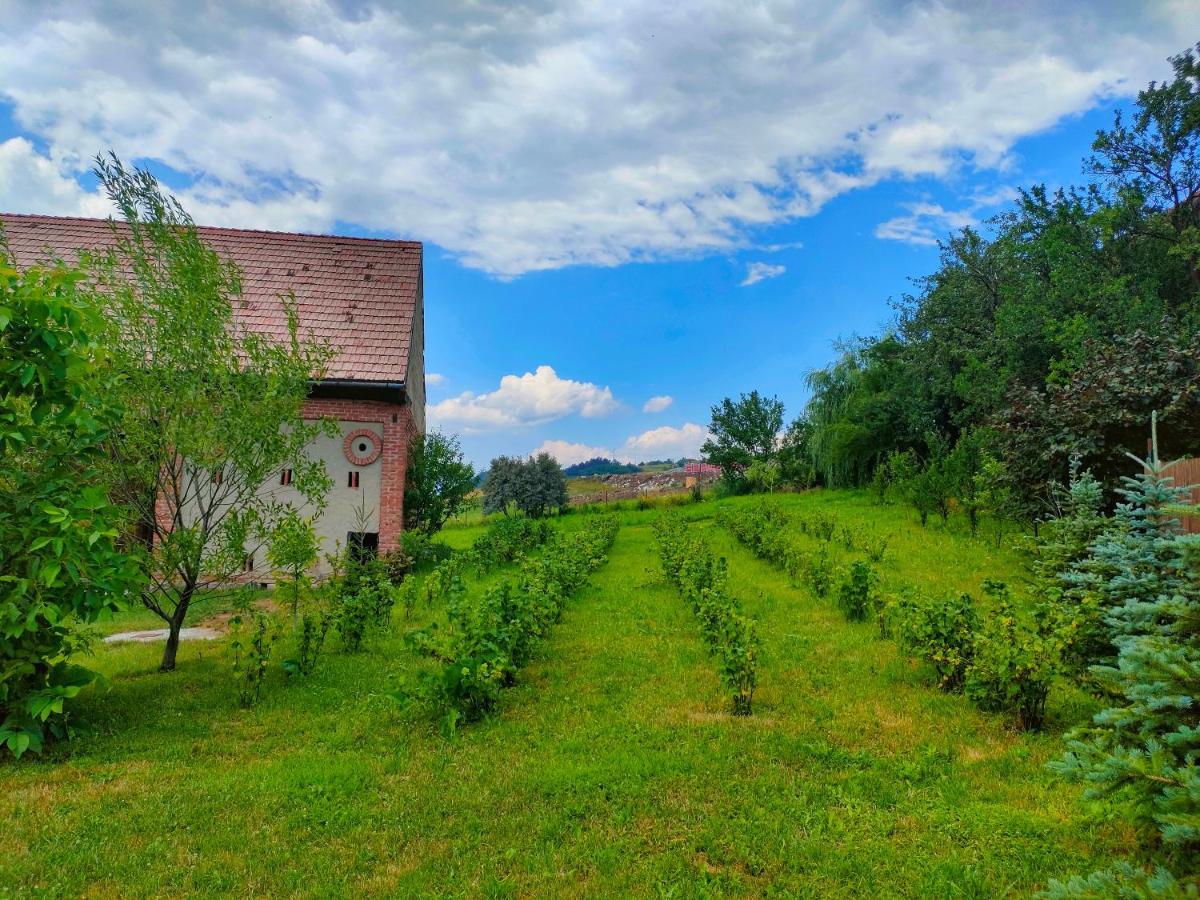 Organicle Lodge Sincraieni Eksteriør billede