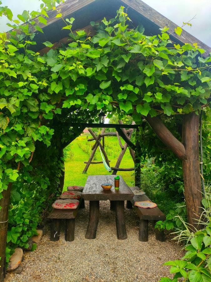 Organicle Lodge Sincraieni Eksteriør billede